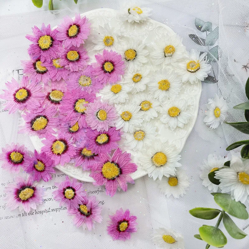 Dried Flower Bookmark - Натуральные прессованные цветочные лепестки, 24 шт./2-4